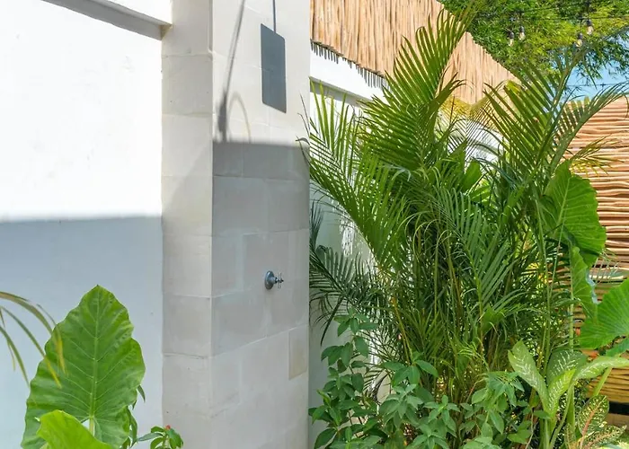 Villa Casa Suku - Tropical & Modern 3br - Canggu (Bali)