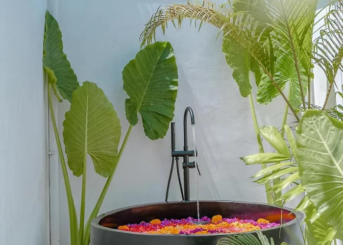 Casa Suku - Tropical & Modern 3br - * Canggu (Bali)